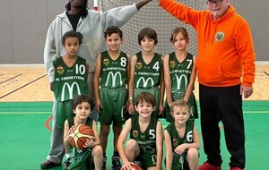 Mini Poussins/poussines